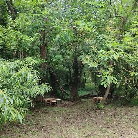 Chrysteam Park Campsite Csemo