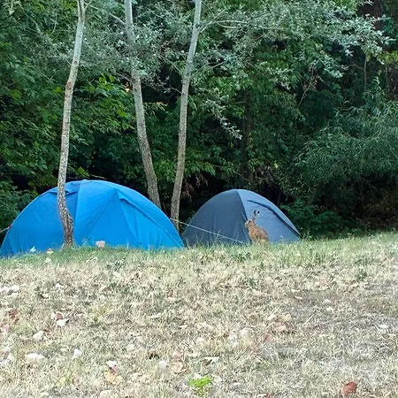 Chrysteam Park Csemo